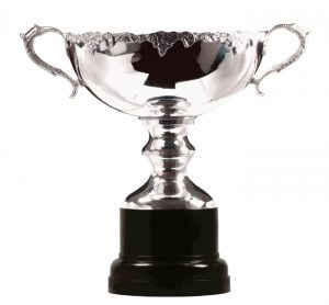 Premium Trophy Cups