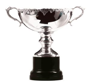 Premium Trophy Cups