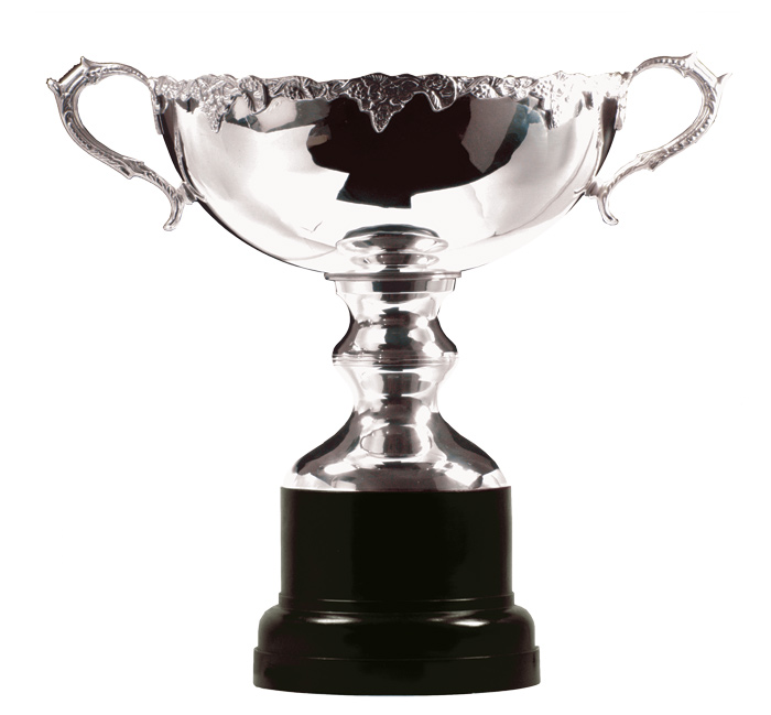 Trophy Cups NZ Trophies