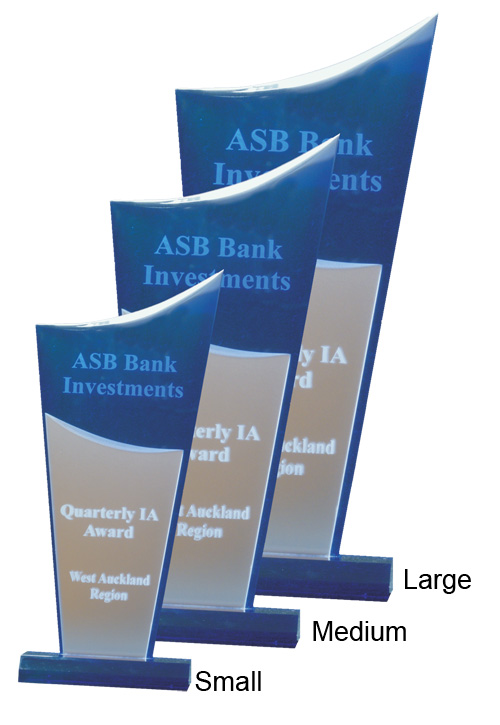 Blue Torch Award - Image 2