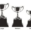 Decorative Miniature Trophy