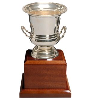 Ashton Trophy Cup - Wood Base