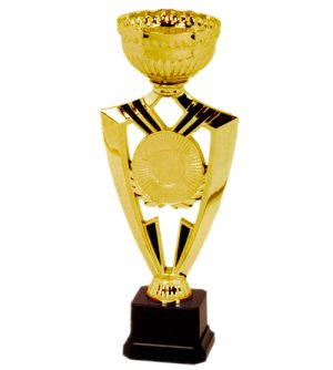 Designer Gold Cup