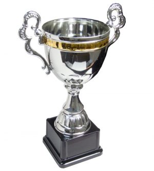 Economy Trophy Cups