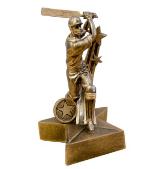 Superstar Cricket Batsman