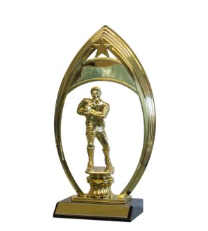 Gold Arch One Star - Rugby