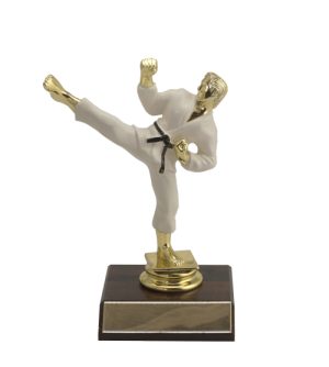 Karate -  Male Colour & Base