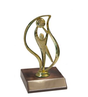 Netball Flame & Base