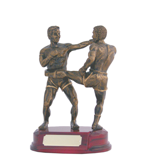 Kickboxing Males NZ Trophies