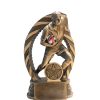Rugby One Arm Carry