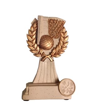 Netball Action Trophy