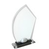 Castelli Award