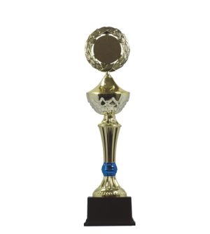Gold Winners Award