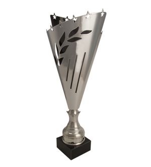 Montrose Trophy Cup