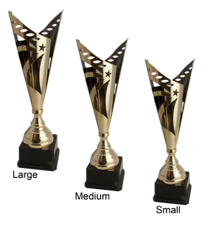 Aberdeen-Gold Trophy - Image 2
