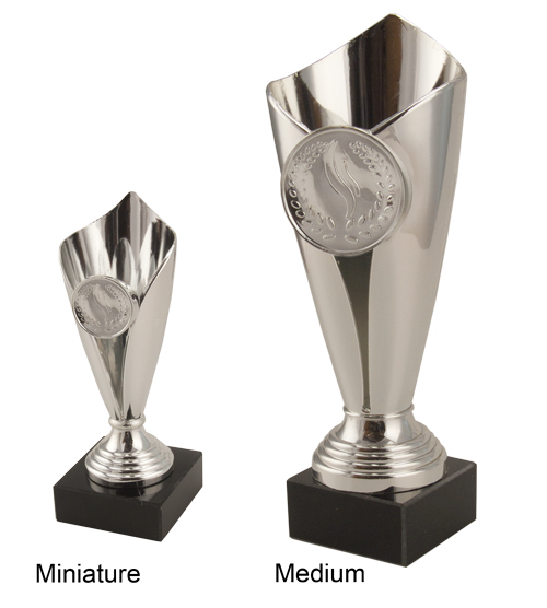 Sahara Silver Cup - Image 2