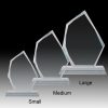 Carlisle Glass Award - Image 2
