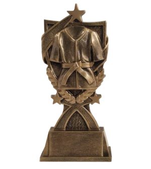 Super Martial Arts Award