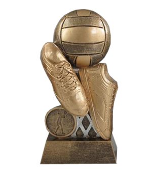 Diego Netball Award