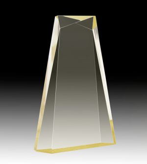 Gold Ultra Award