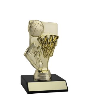 Basketball Goal & Base