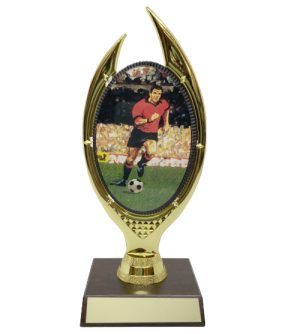 Football Oval Colour