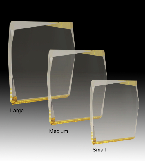 Gold Prism Award - Image 2